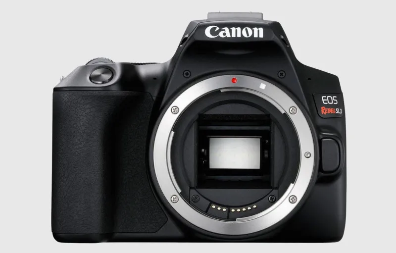 بهترین DSLR برای مبتدیان: Canon EOS 250D 