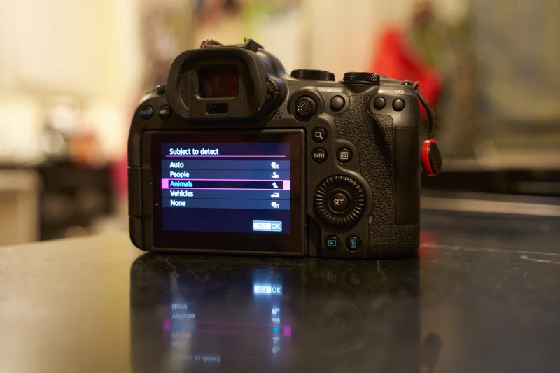 نقد و بررسی دوربین Canon R6 Mark II : یک آپدیت درست و کامل