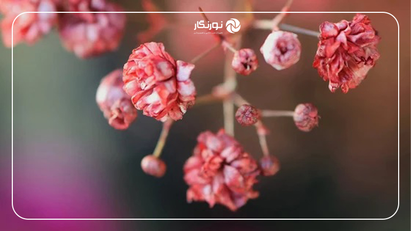 کارایی بالا در شرایط مختلف