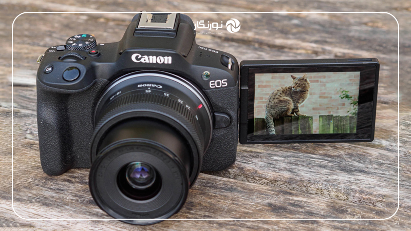کیفیت تصویر Canon EOS R50