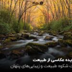 10 ایده عکاسی از طبیعت؛ ثبت شکوه طبیعت و زیبایی‌های پنهان
