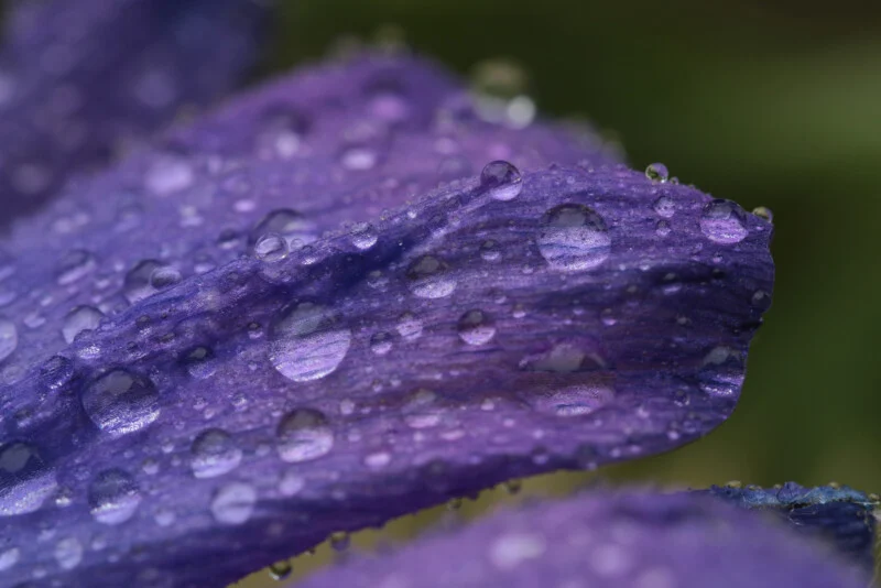 معرفی عرضه لنزهای 150mm f/2.8 برای Sony E-Mount