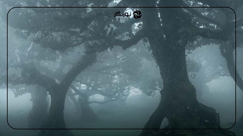 استفاده از مه یا هوای بارانی برای خلق اتمسفر