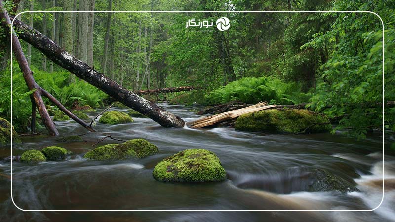 ایده‌های عکاسی از طبیعت
