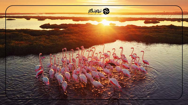 رعایت مسائل محیط زیستی هنگام عکاسی از طبیعت