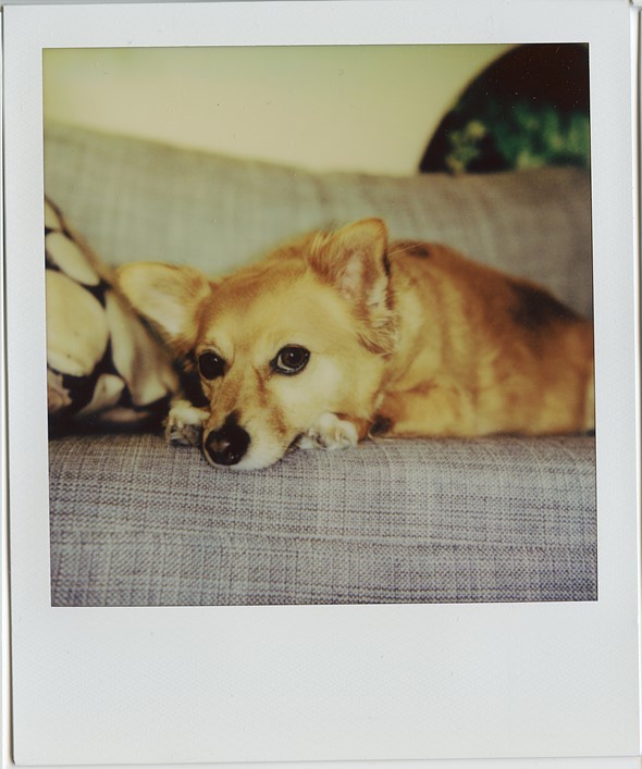 نمونه عکس PolaroidI-2-15