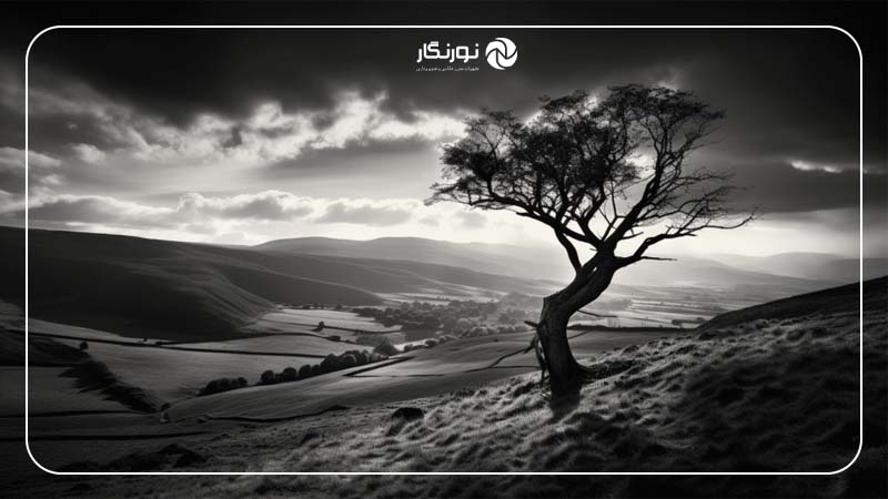 ایده عکاسی سیاه و سفید