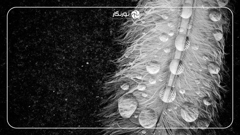 کنتراست بالا