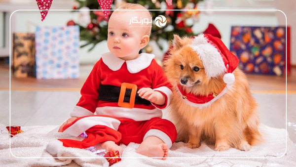 اگر خانواده حیوان خانگی بامزهای دارد، میتواند آن را در عکاسی کریسمس شرکت دهد