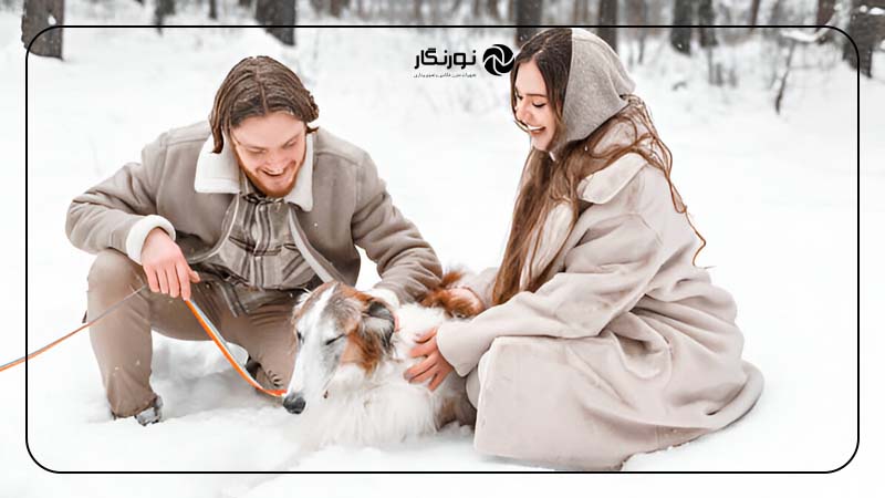 در حال بازی کردن با حیوان خانگی