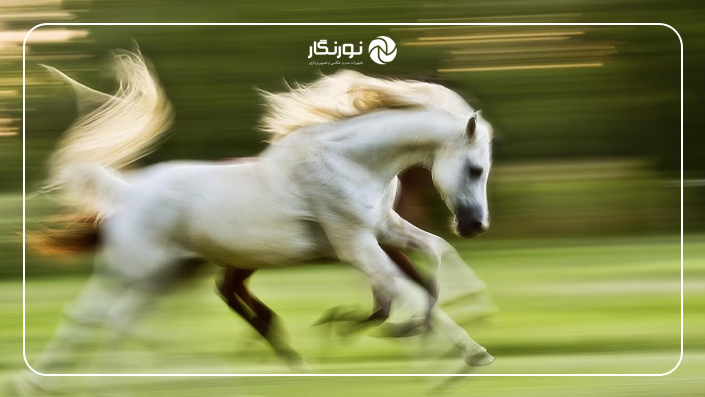 عکاسی پنینگ از اسب در حال دویدن