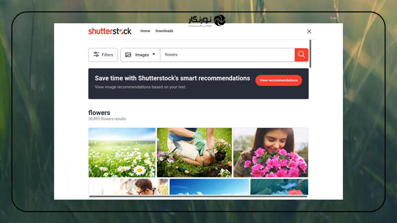 سایت Shutterstock   فروش عکس به دلار