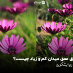 فرق عمق میدان کم و زیاد چیست؟ راز روایتگری