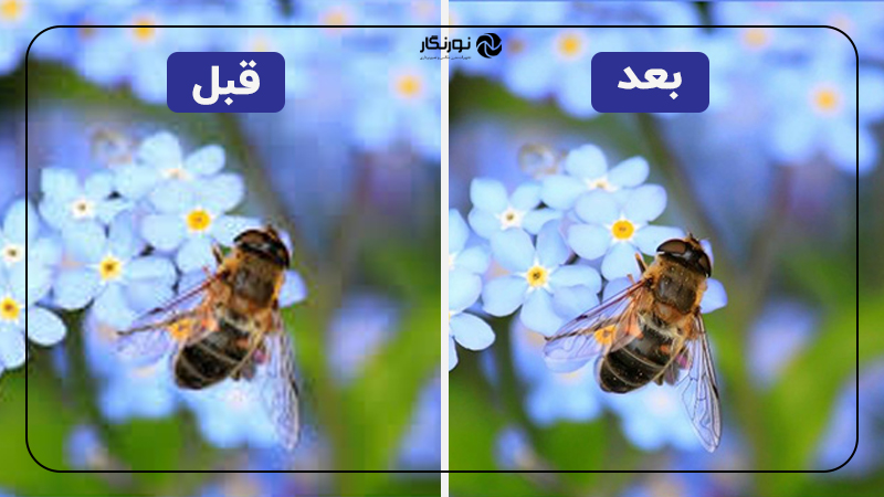 قبل و بعد تصویر با هوش مصنوعی