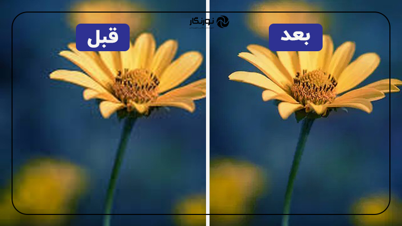 نتیجه استفاده از سایت AI Image Enlarger 