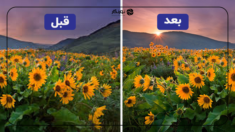 نتیجه بهبود کیفیت تصویر با استفاده از HitPaw Photo Enhancer.