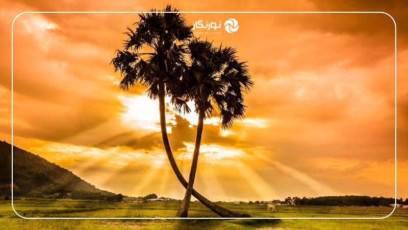 میزان نوردهی