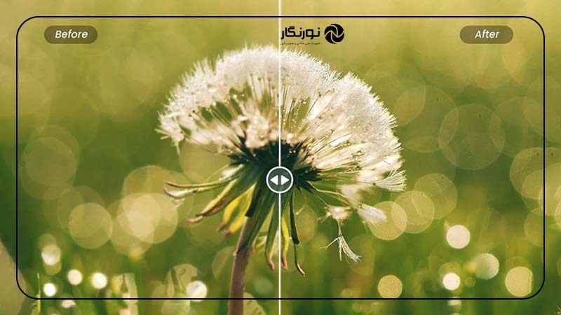 بهبود کیفیت عکس در فتوشاپ با استفاده از ابزار Smart Sharpen