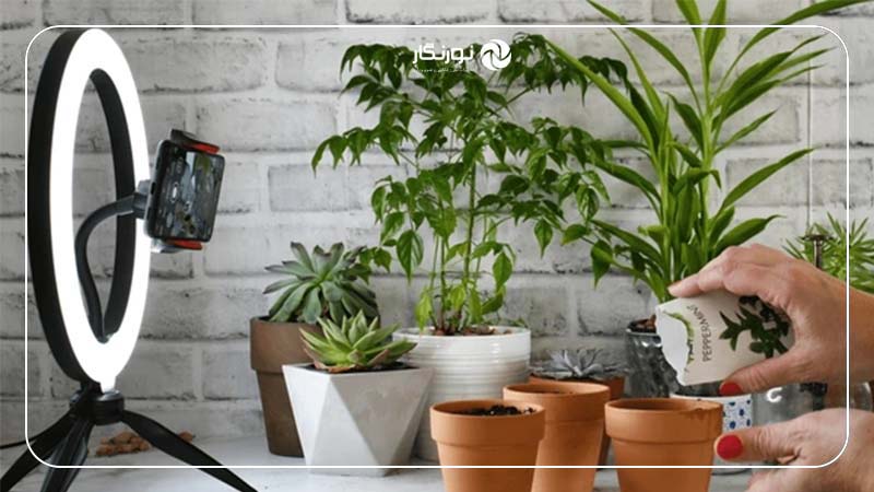 کاربردهای مختلف رینگ لایت