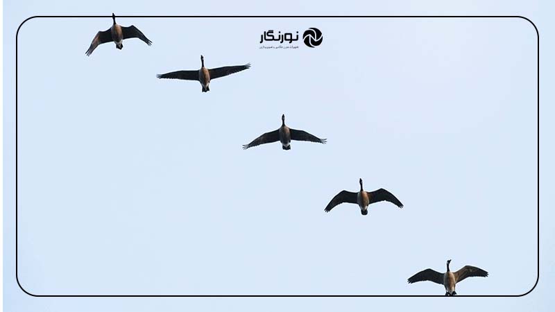 ارتقاء عملکرد و دقت عکاسی