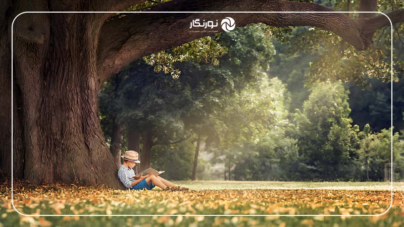 عکس با کتاب در فضای باز