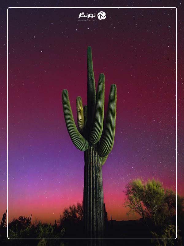 نگاهی به شمال اثر Lynsey Schroeder