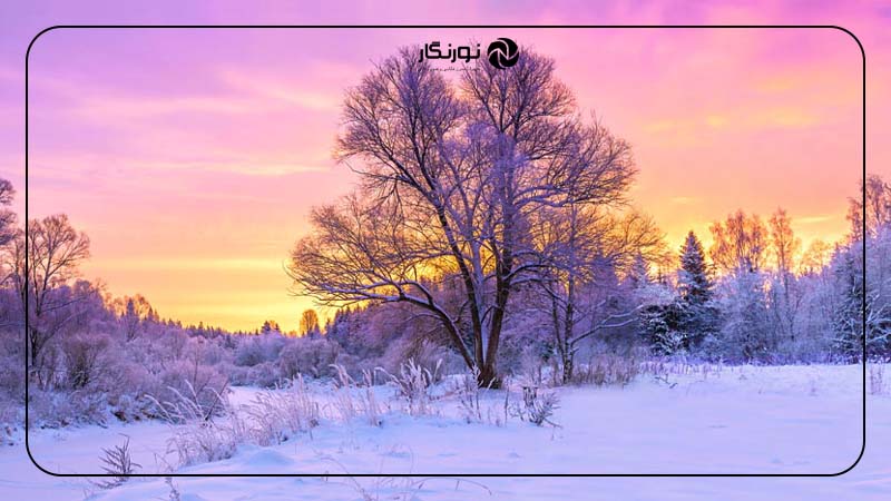 زمان‌بندی مناسب برای عکاسی در برف