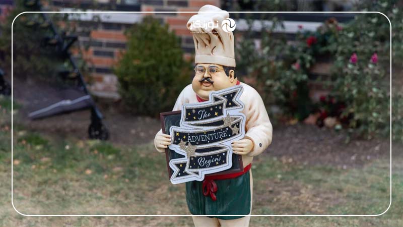 عملکرد آداپتور Fusion