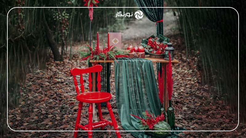 عکاسی با ترکیب طبیعت و دکور داخلی