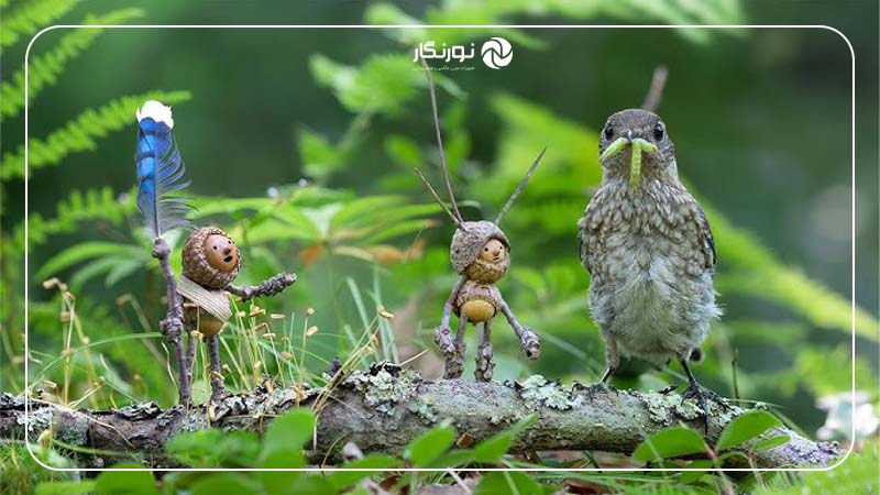 احترام و حفاظت از طبیعت