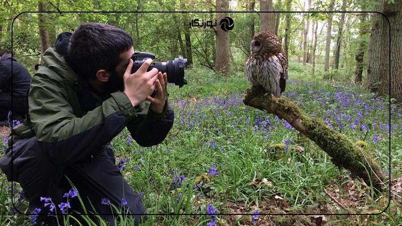 از عکاسان پرندگان یاد بگیرید