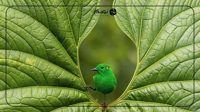 بررسی پس‌زمینه