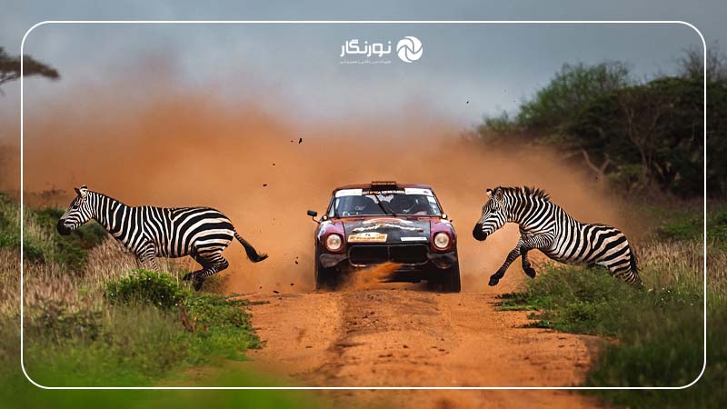 نفر سوم: جایزه برنز