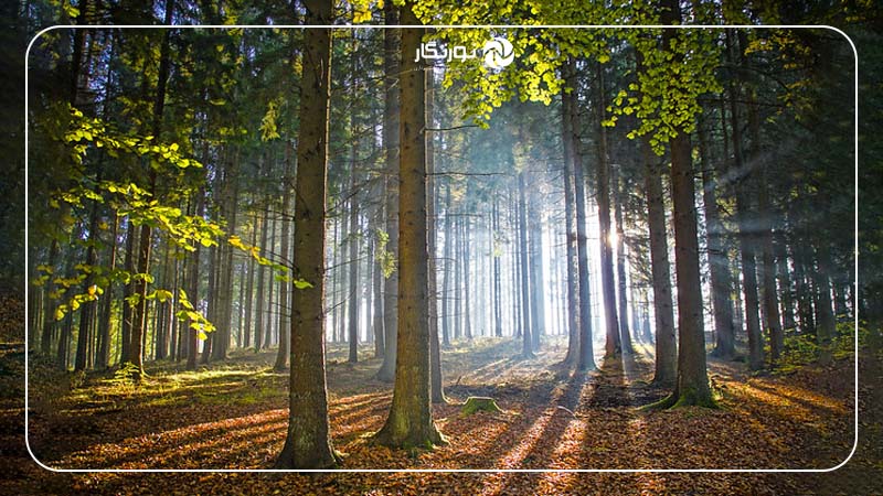 بهره‌گیری از سایه‌ها برای عمق بیشتر