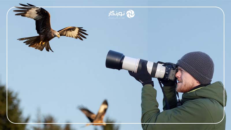 تحقیق در مورد سوژه خود