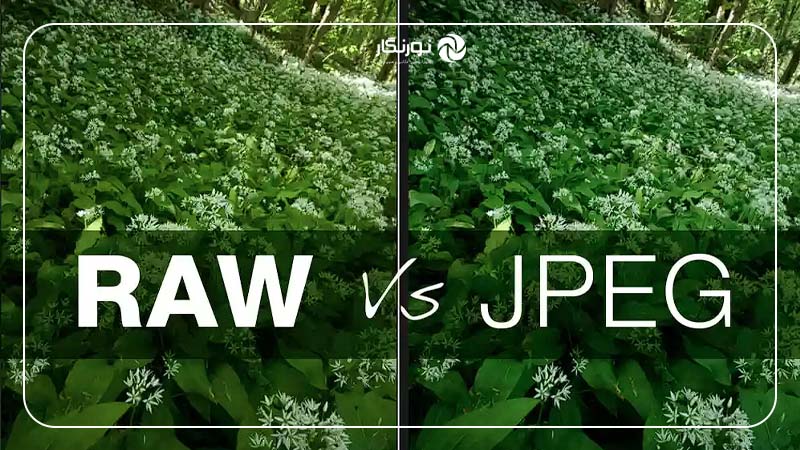 تصاویر Raw تا چه اندازه ویرایش نیاز دارند؟