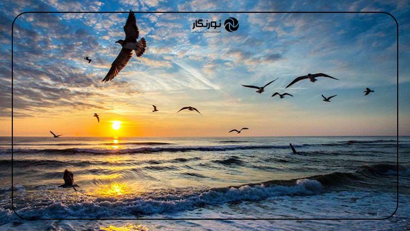 تمرین در ترکیب‌بندی