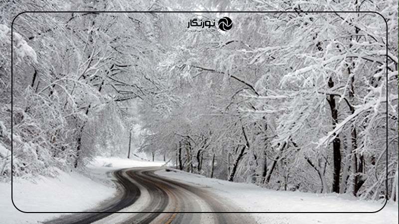جنگل‌های گیسوم، ایران