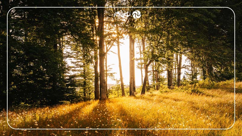 زمان‌بندی مناسب برای عکاسی در نور طبیعی