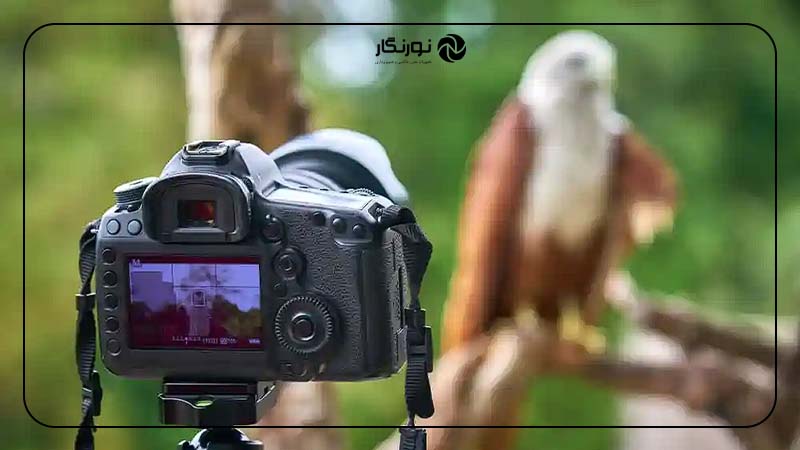 زیاد تمرین کنید