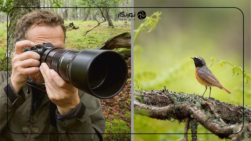 لباس مناسب بپوشید