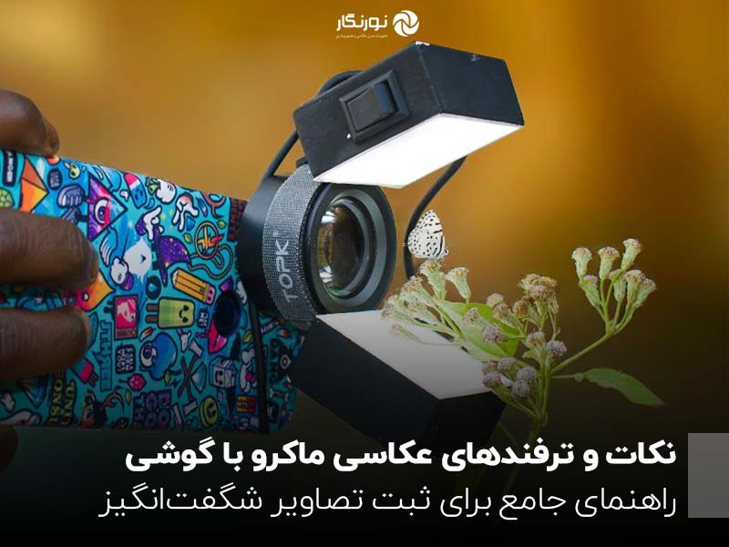 نکات و ترفندهای عکاسی ماکرو با گوشی ؛ راهنمای جامع برای ثبت تصاویر شگفت‌انگیز