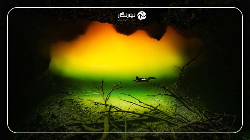 برنده بخش "Up & Coming"