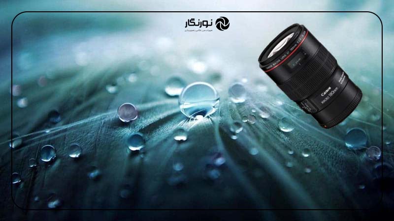 استفاده از لنزهای ماکرو برای ثبت جزئیات