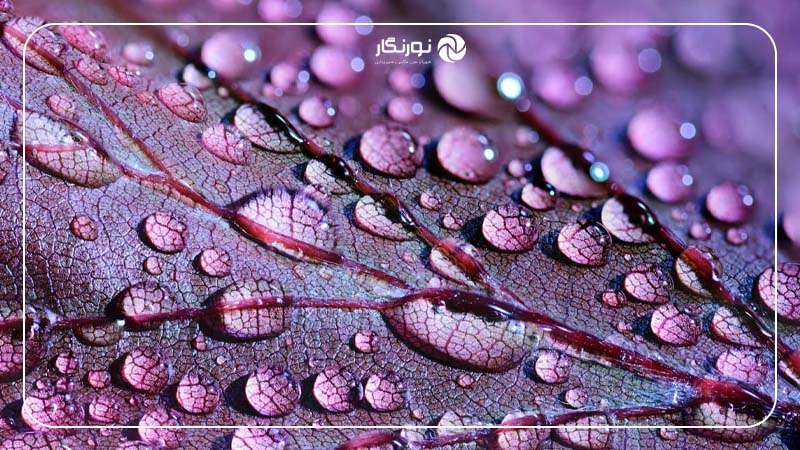 بازی با انعکاس‌ها
