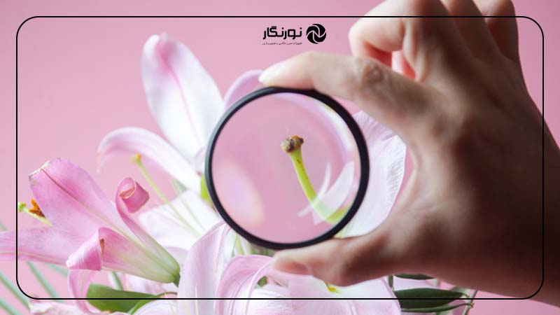 تأثیر دیوپترهای مختلف بر میزان بزرگ‌نمایی