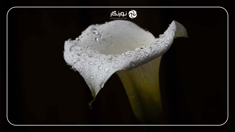 تفاوت نورسنجی نقطه‌ای با سایر روش‌های نورسنجی