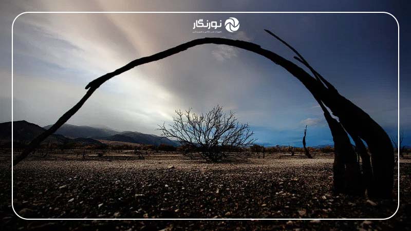 توجه به نسبت‌ها و توازن در ترکیب‌بندی