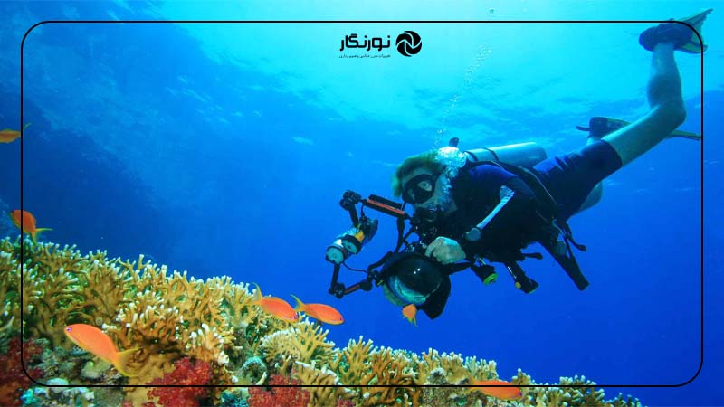 عکاسی منظره و حیات وحش زیر آب