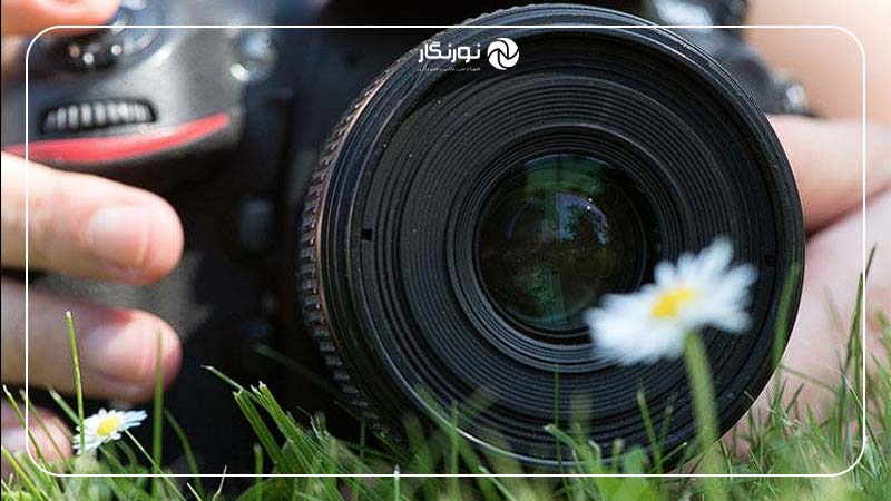 نسبت بزرگنمایی لنز در عکاسی ماکرو چیست؟